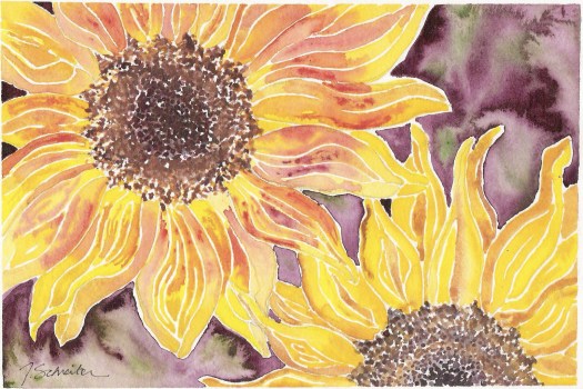 sunflowers