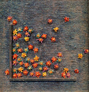 christine_dehlinger_ongaart_hoya_bits_canvas